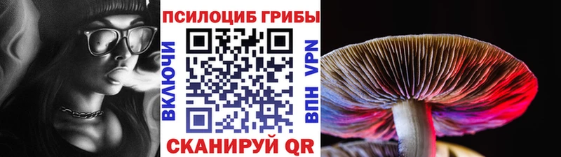 Купить где  Волчанск  Псилоцибиновые грибы ЛСД 